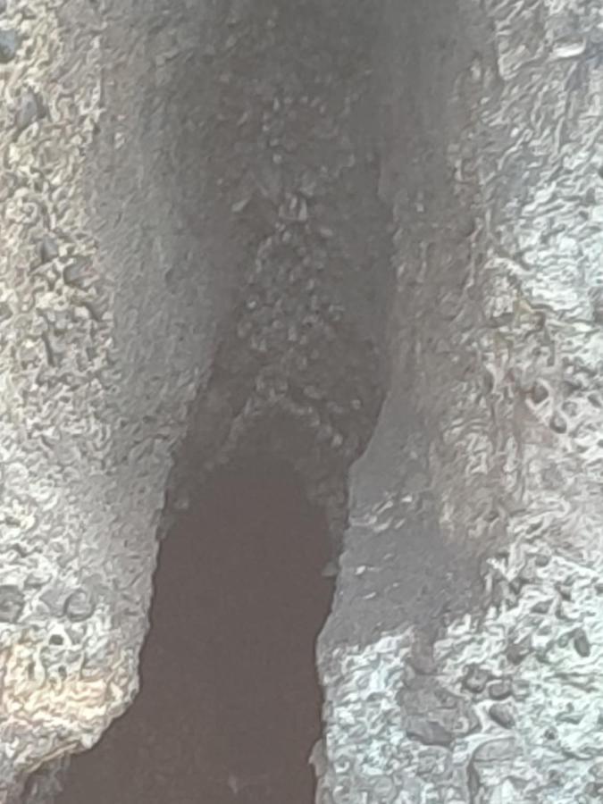 Apartmán Les Cactus Bellefontaine Exteriér fotografie
